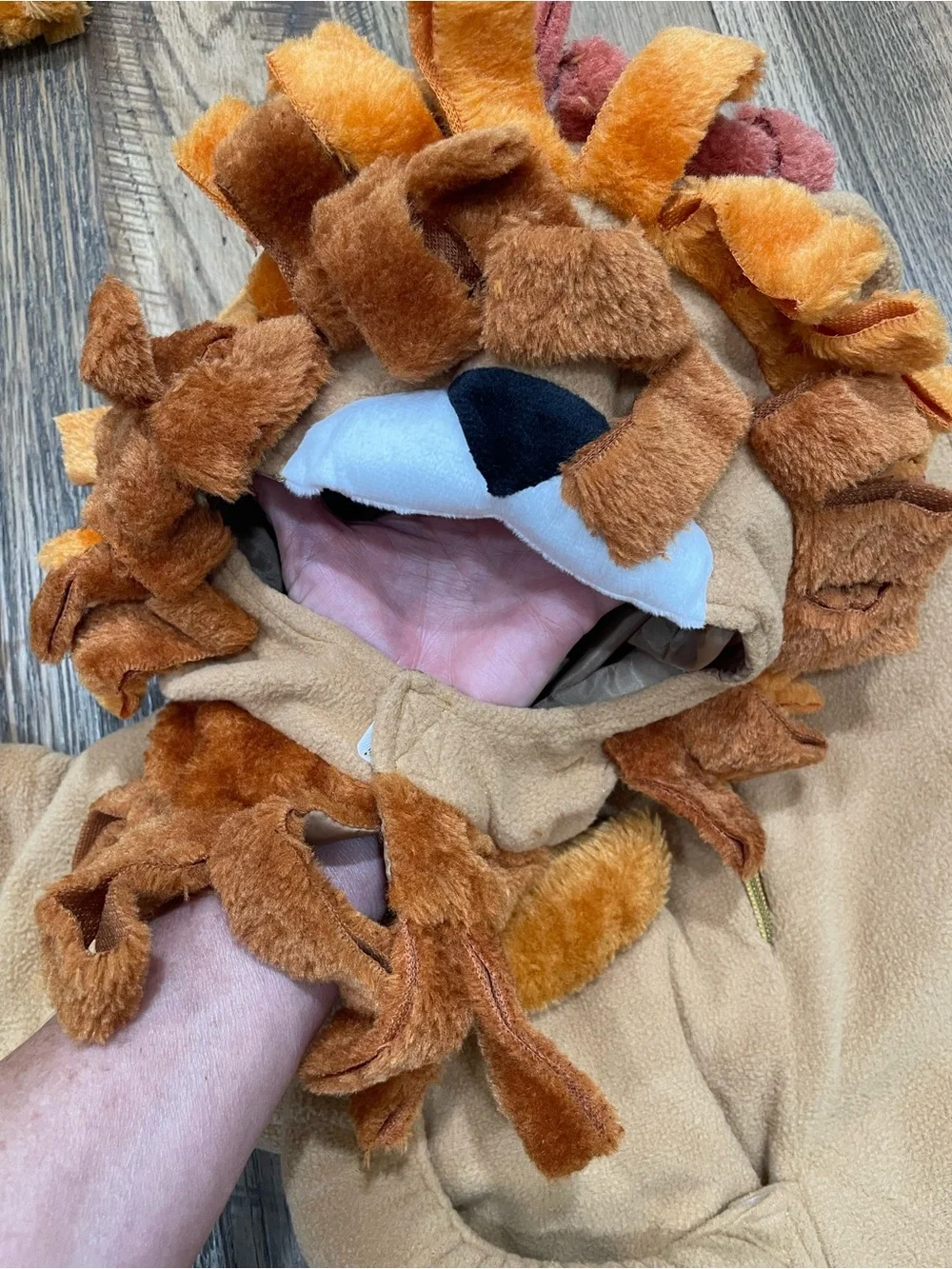 Spooktacular Twins Baby Lions Halloween costumes 12-18 mo